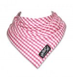Raspberry Gingham Skibz Teething Bib